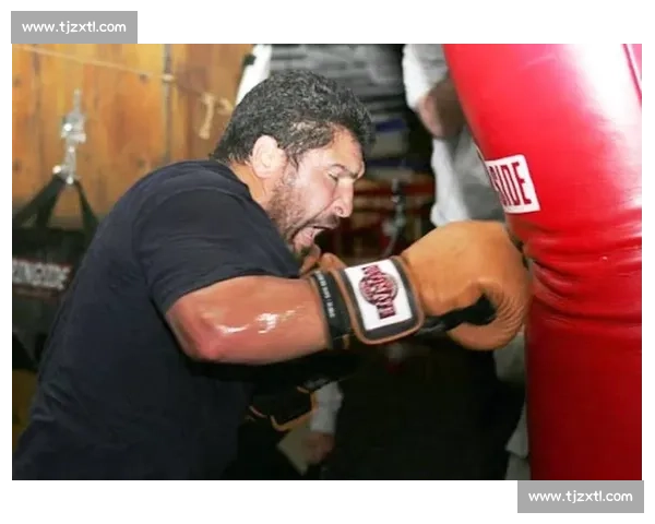 霍利菲尔德对决鲁伊兹重量级王座之争与时代碰撞回顾经典历史拳坛
